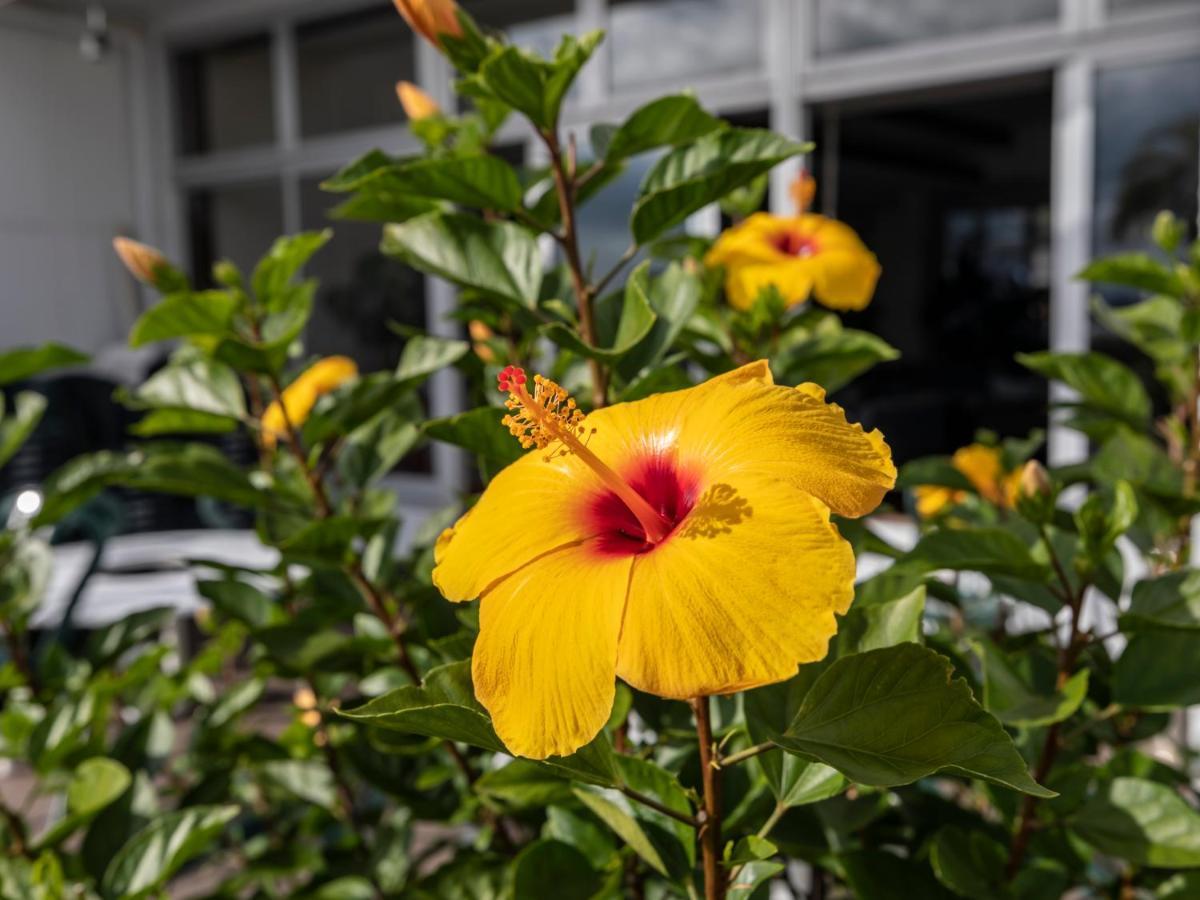 Arafune Resort Shimo-tahara Zewnętrze zdjęcie